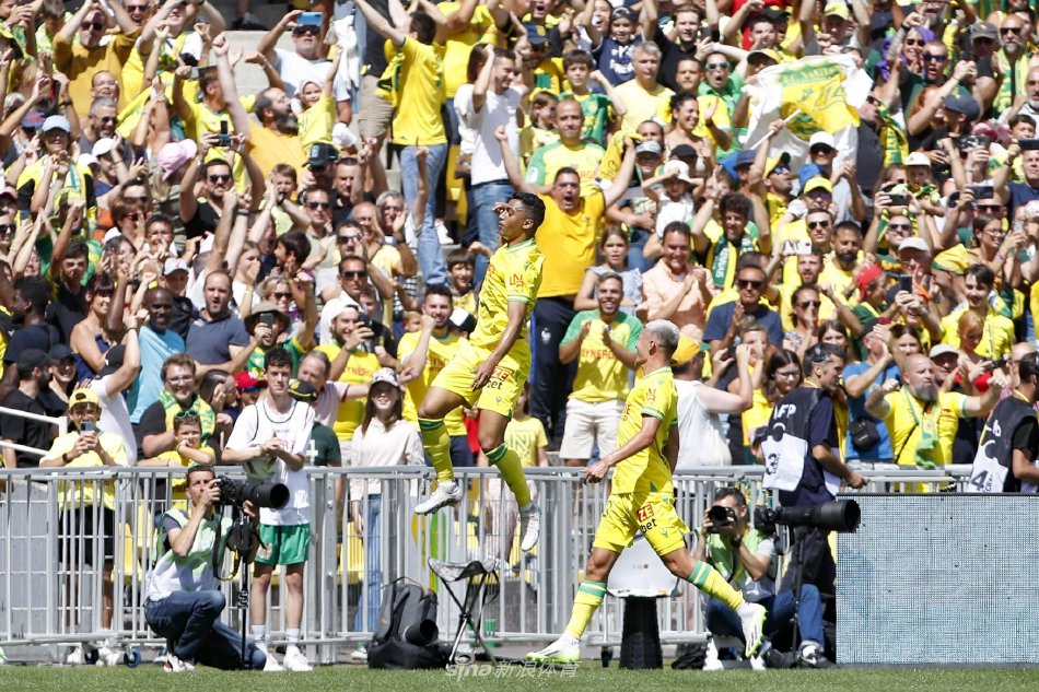 单纯依靠引 单纯依靠引